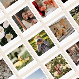 Polaroīdu kartītes