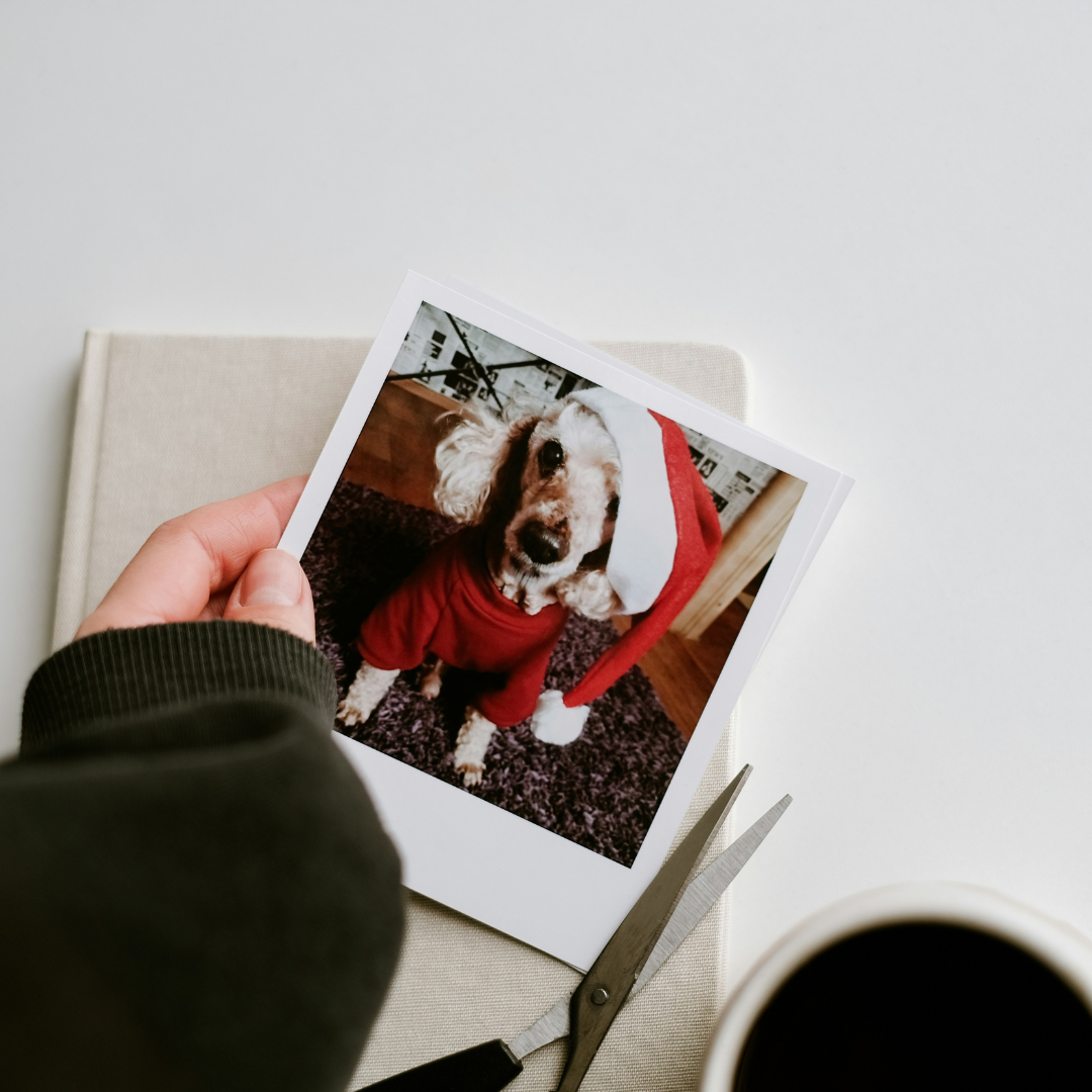 Polaroīdu kartītes